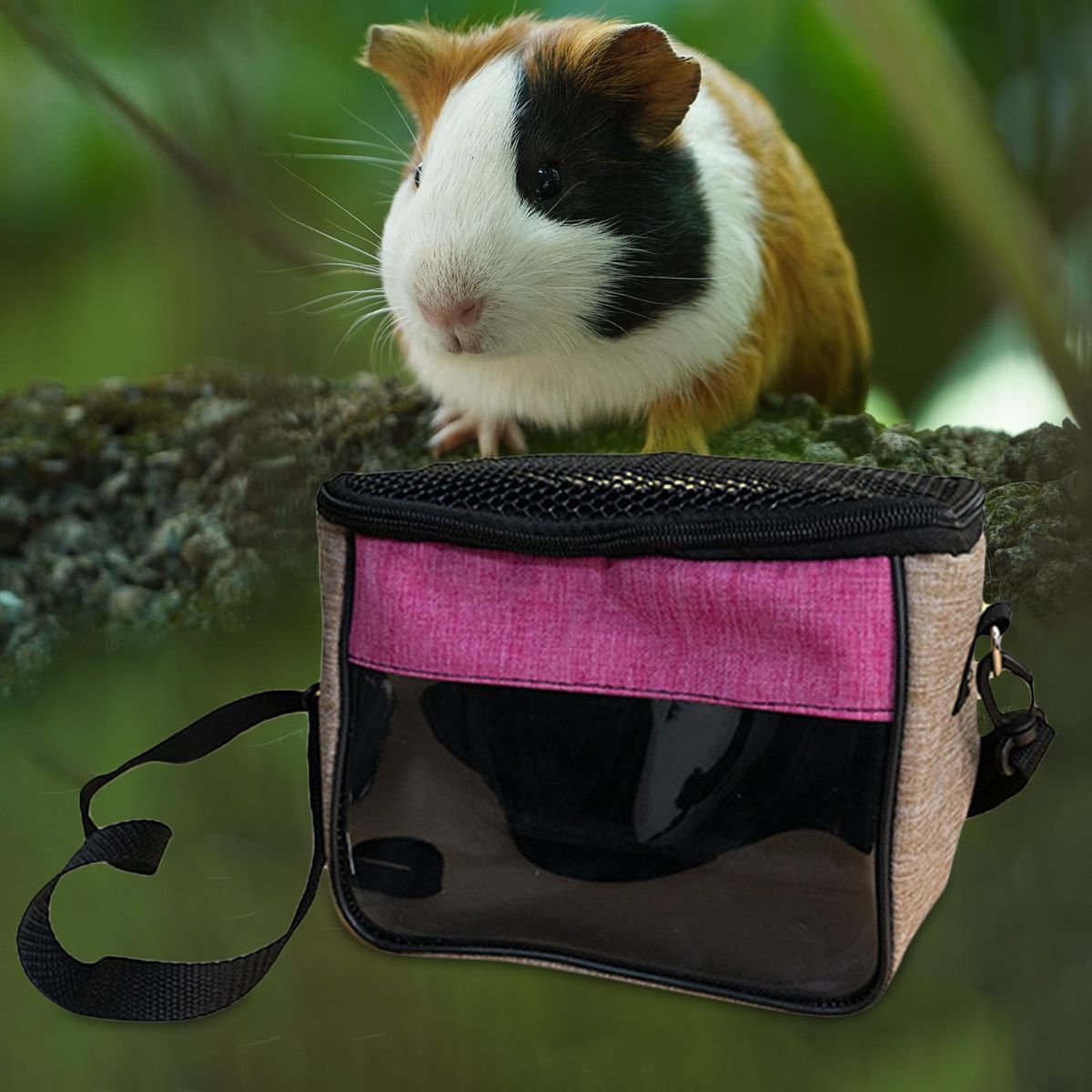 Small Hamster Carrier Travel Bag Tote Guinea Pig Small Animals