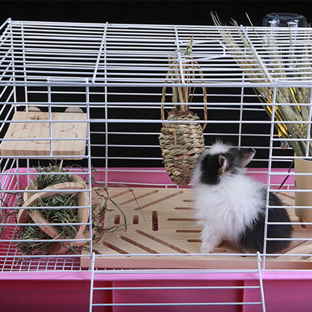 2x Rabbit Grass Carrot Radish Toy Hamster Toys Parrot Supplies Small