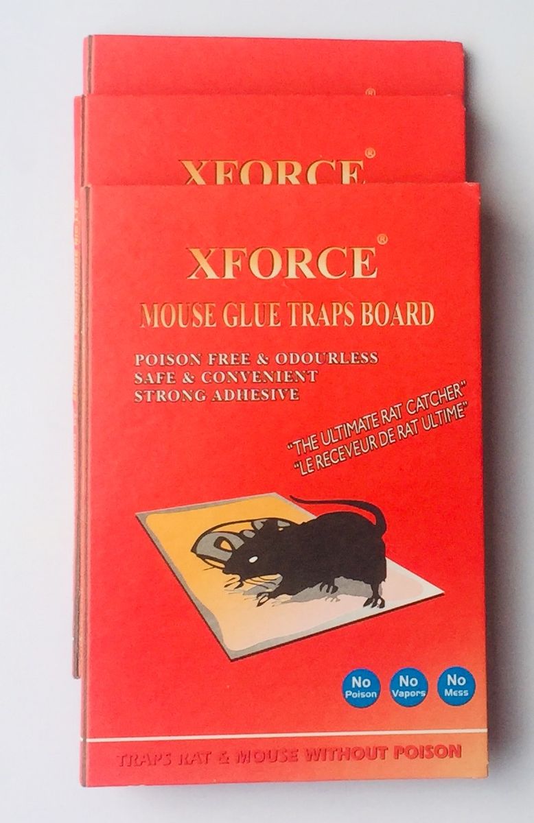 3 Pieces Rat Gum /Killer