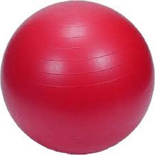 Standard Gym Balance Ball