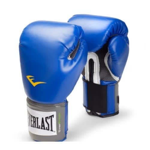 Everlast Punching Gloves - Blue