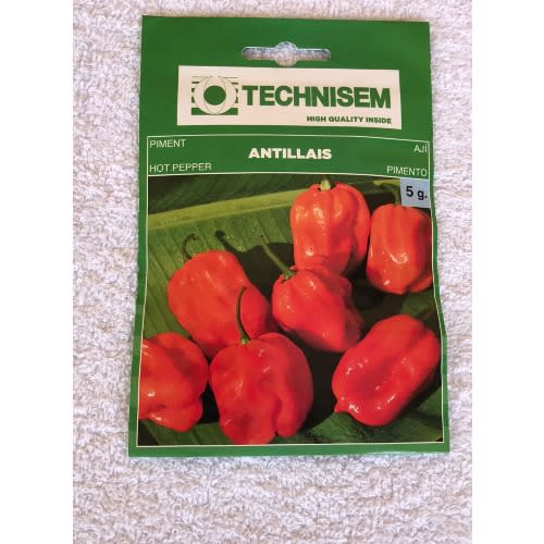 Hybrid Hot Pepper Seed ( Antillais ) - 5g