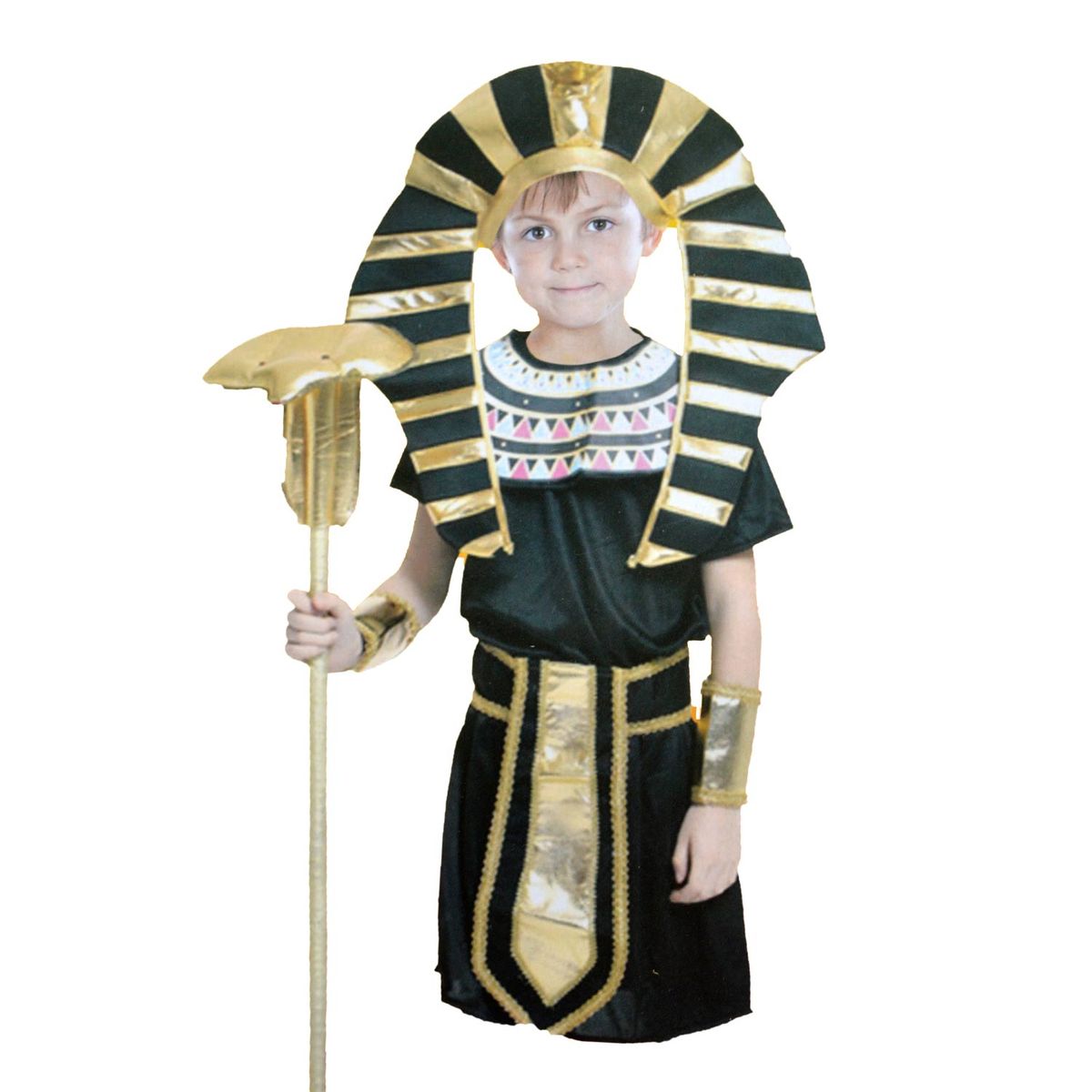 Pharaoh Of Egypt For Boy  Costume.