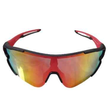Cycling Windproof Polarizing Glasses