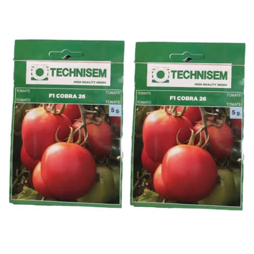 Hybrid Tomato Seeds - 5g - 2 Sachet