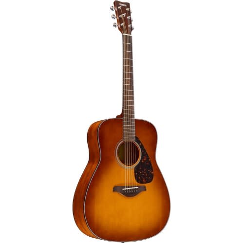 Fg800 Acoustic Guitar