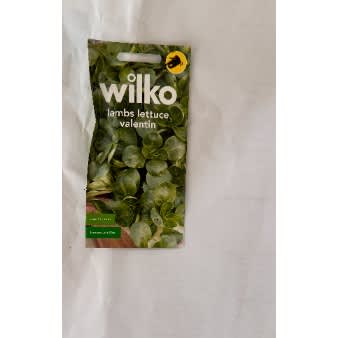 Lambs Lettuce Valentin Seeds-300