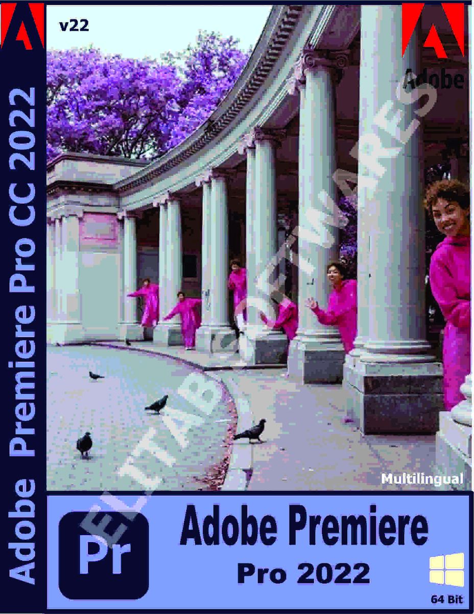 Premiere Pro 2022 V22