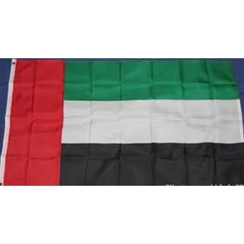 Dubai Flag