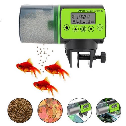 Automatic Fish Feeding Machine