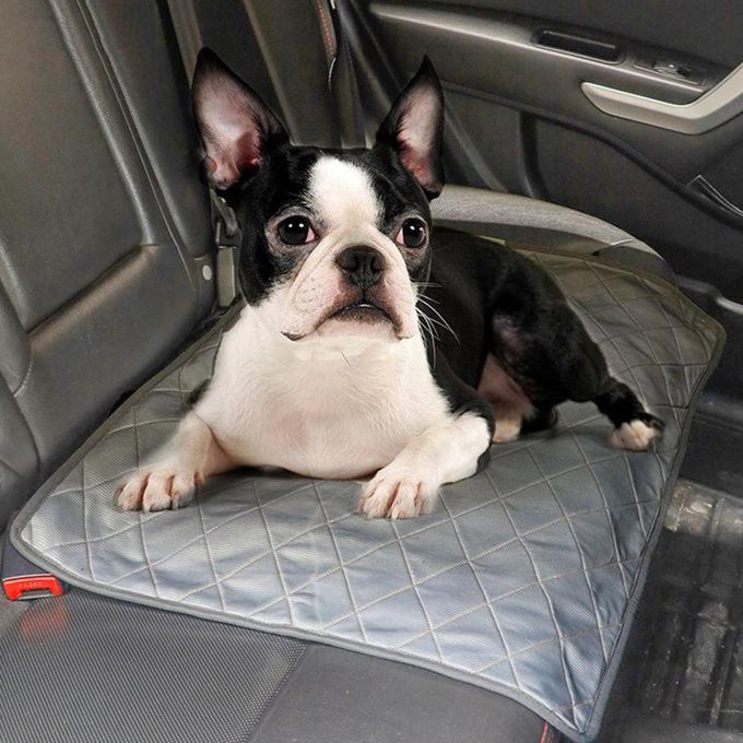 Cats Dogs Training Pad Puppy Piddle Mat Potty Trainer Litter Tray