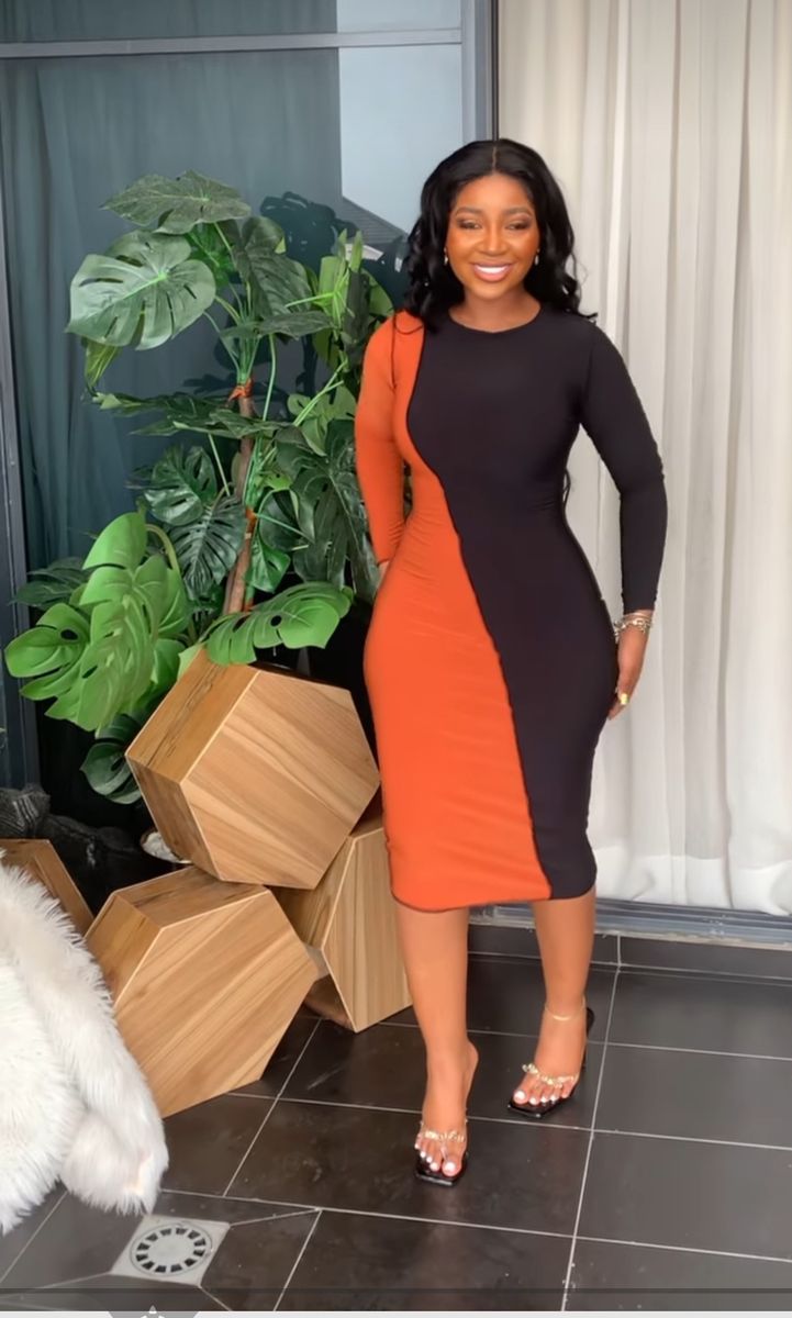 Janel Fitted Classy Dress