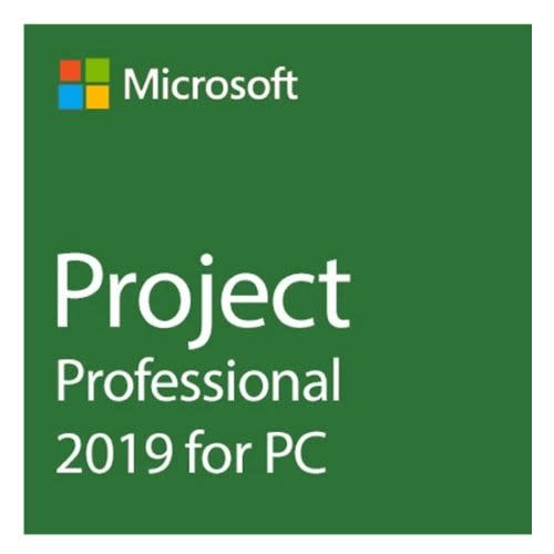 Project Professional 2019 License