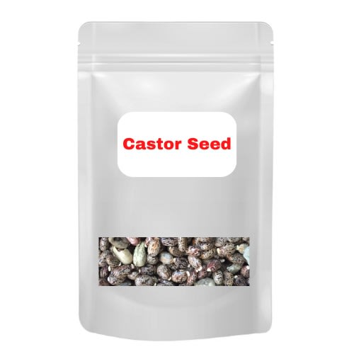 Castor Seeds 100g