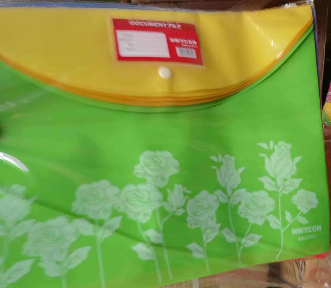 12pcs -Plastic Transparent Document Folder, Waterproof