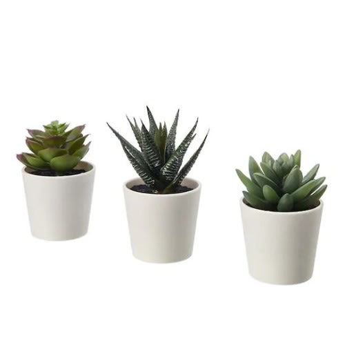 Fejka Artificial Potted Plant With Pot, In/outdoor Succulent - 6cm - 3Pack
