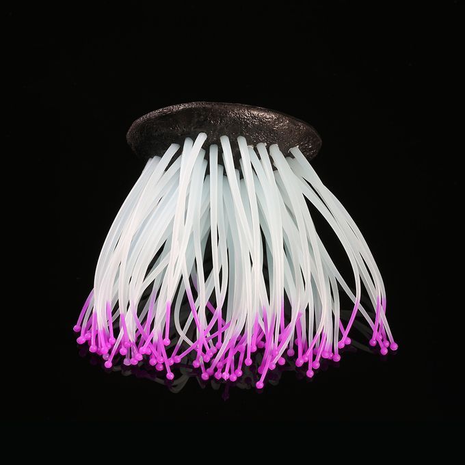 Artificial Silicone Sea Anemone With Glowing Effect