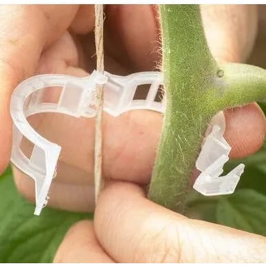 Trellis Clips For Your Tomatoes - 100 Pcs