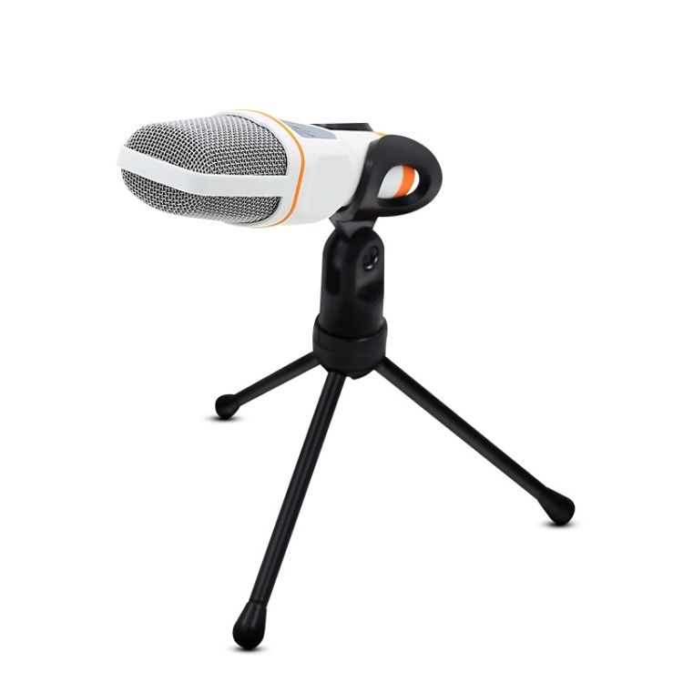 Professional Condenser Sound Recording Microphone With Tripo