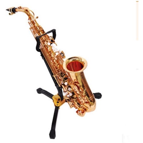 Alto Saxophone And Sax Stand
