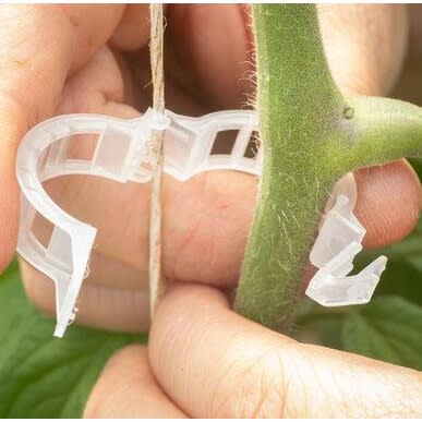 Trellis Clips For Your Tomatoes - 100 Pcs