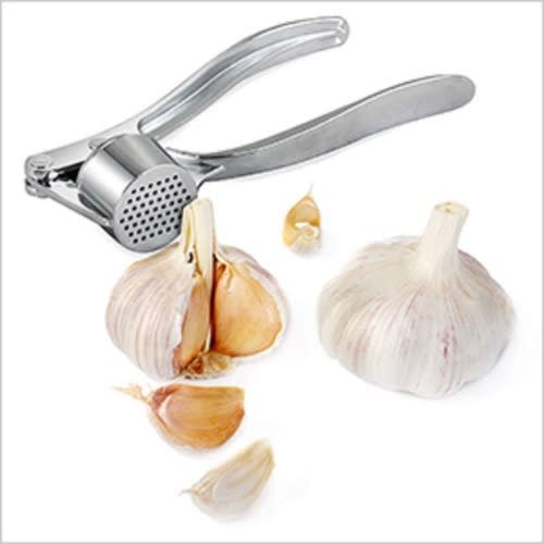 Stainless Steel Garlic Press