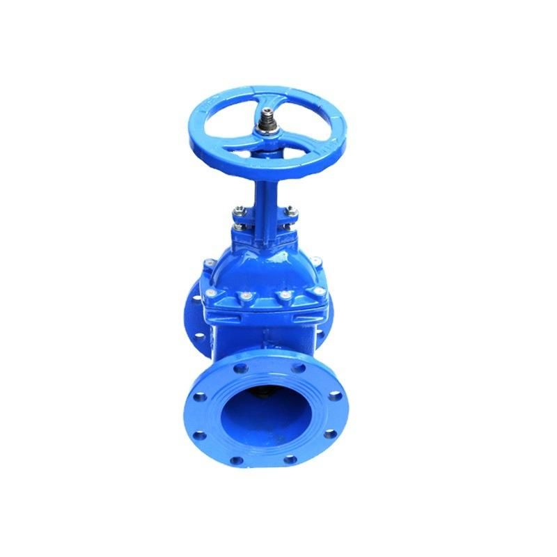 Z41X-16 Soft Seal Rising Stem Gate Valve Ductile Cast Iron Rising Stem Elastic Seat Gate Valve