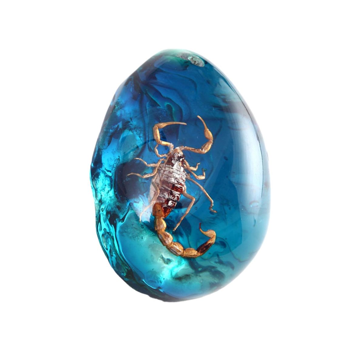 Scorpion Amber Decorations Vibrant Amber Collection Scorpion for Ages Blue