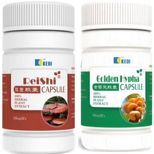 Staphylococcus Aureus Cure supplements - Big  Golden Hypha and Big Reishi