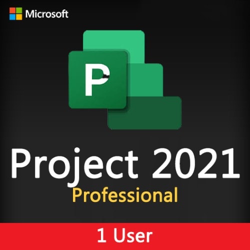 Project 2021 Professional For One User