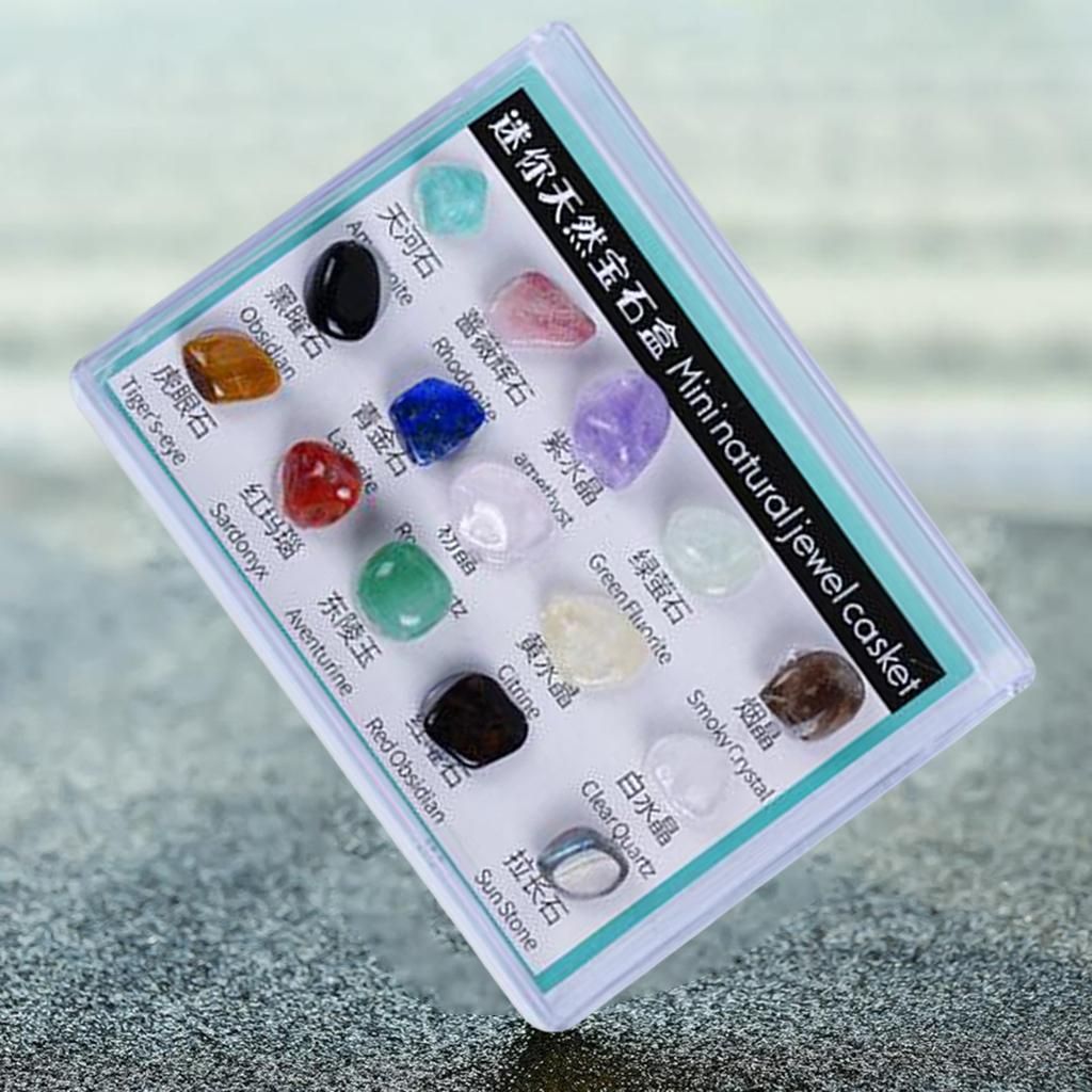 ROCK And MINERAL COLLECTION In Collector's Box - Premium