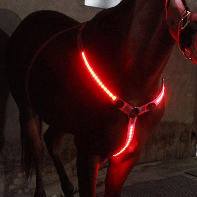 LED Horse Breastplate Collar Halter Chest Harness USB Equestrian Pink