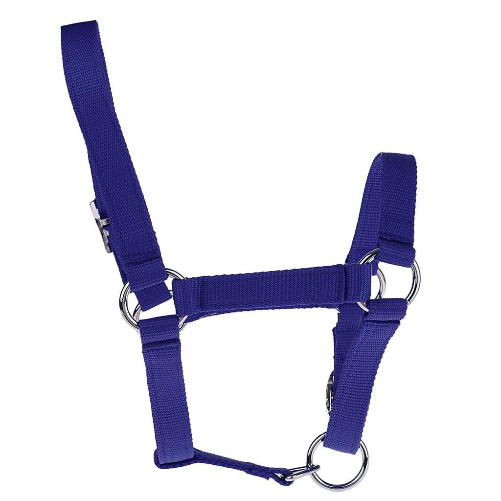 Equestrian Western Halter Horse Clothing Adjustable Nylon Color