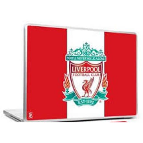 3 In One Laptop Skin