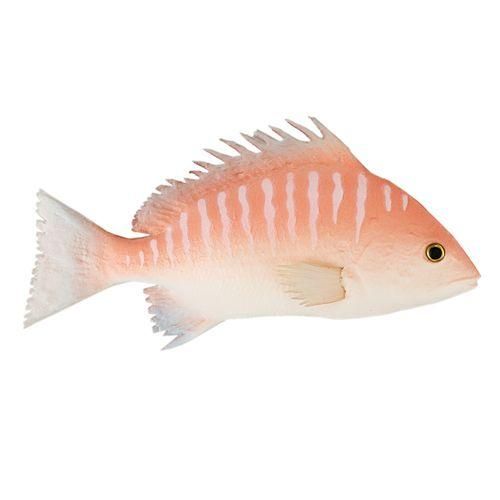 9.5 Inch Artificial Red Snapper Fake Fish