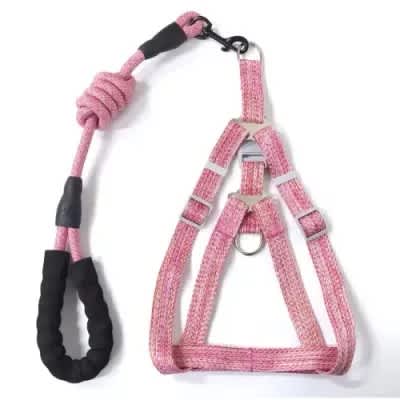 Dog Harness - Leash Set For Small Dogs - 1.2m