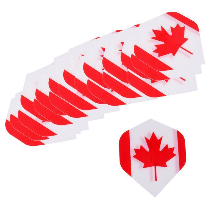20 Pieces Standard Dart Flights Professional Durable PET Canada