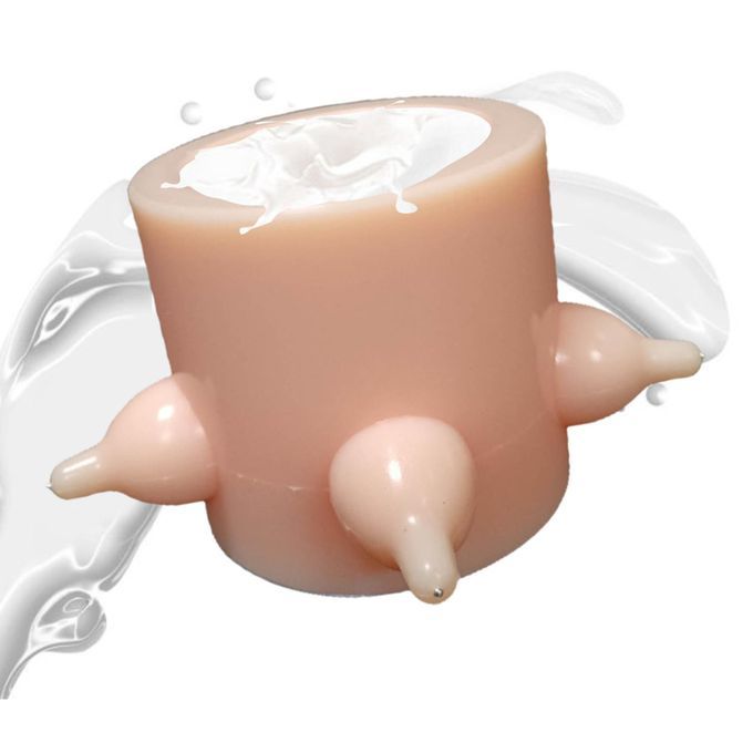 Kitten Doggie Puppy Milk Feeder, Feeding Bowl Nursing Station 5