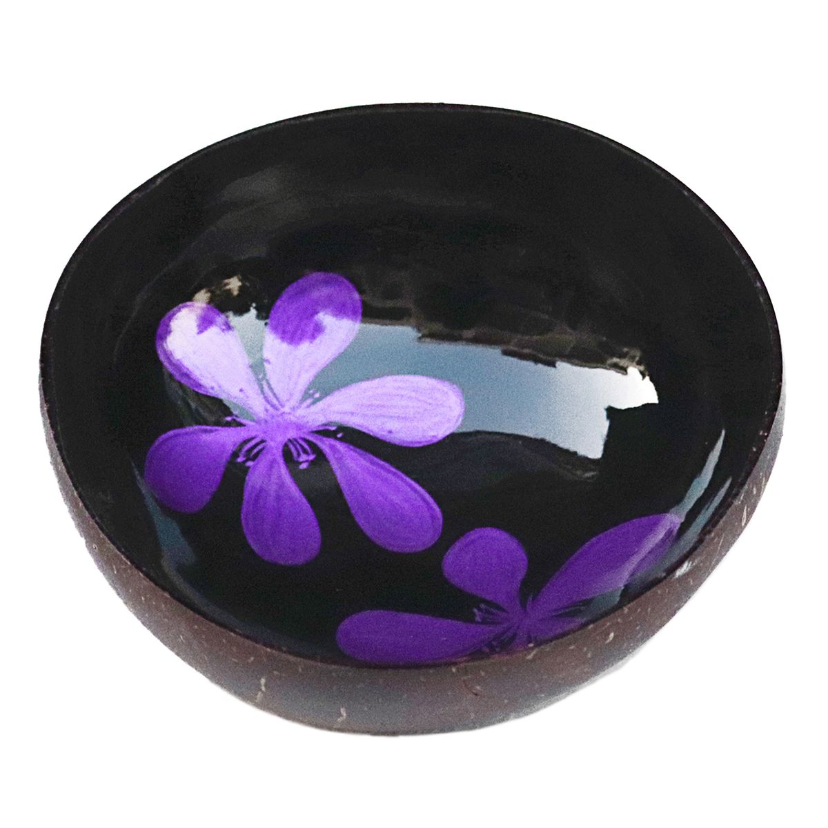 Coconut Shell Storage Bowl Candy Container Nuts-Purple