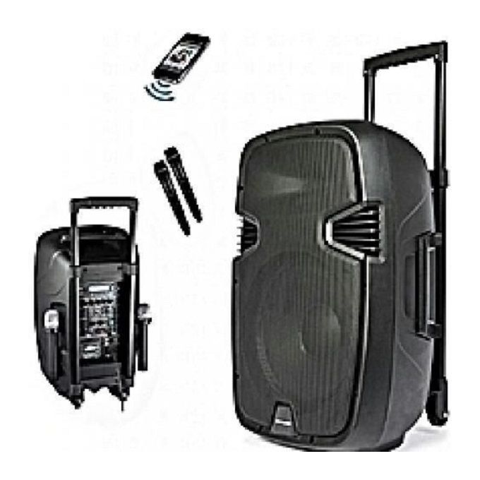 Rechargeable Trolley Speaker With Two Wireless Microphones & Bluetooth 8 "inch