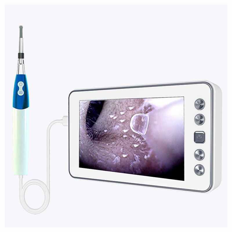 Digital Ear Care Visual Endoscope Camera 1.3MP 4.3 Inch LCD Display Po Video Otoscope 3.9mm/4.3mm Lens 6 LED Ear Clean Spoon-3.9mm