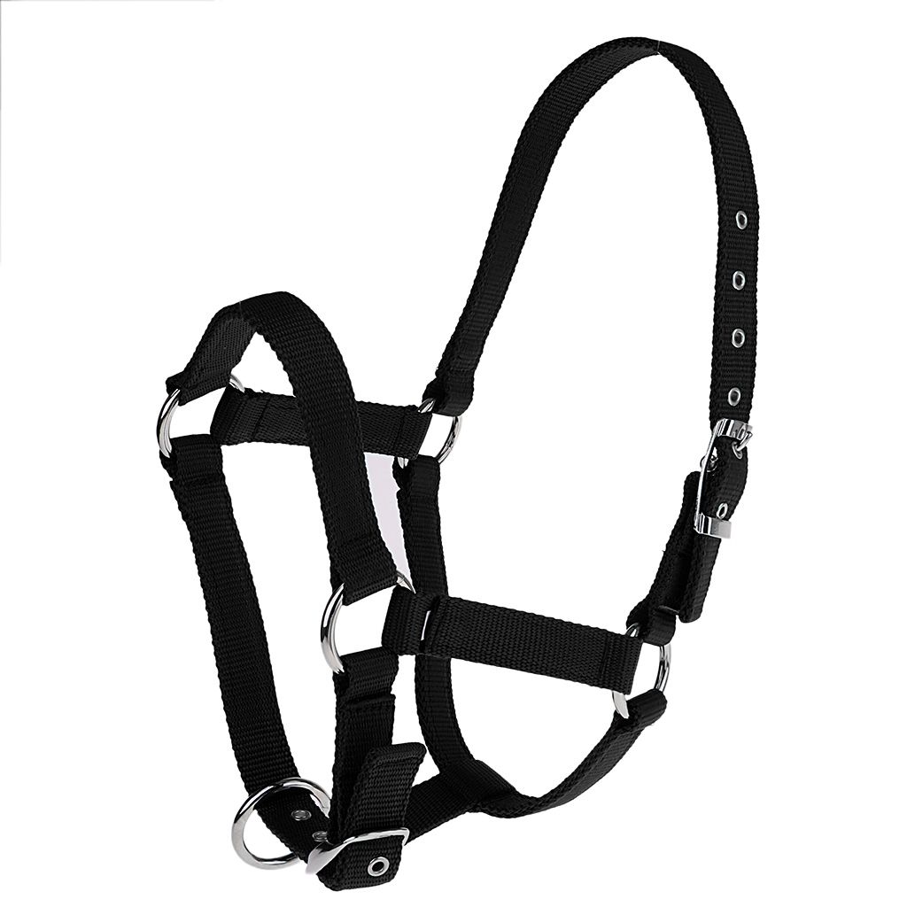 Outdoor Nylon Webbing Equestrian Western Horse Black S