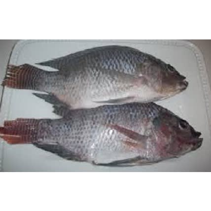 Pisces Fresh Tilapia - 2KG