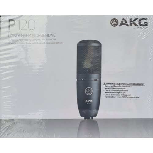 P120 Condenser Microphone