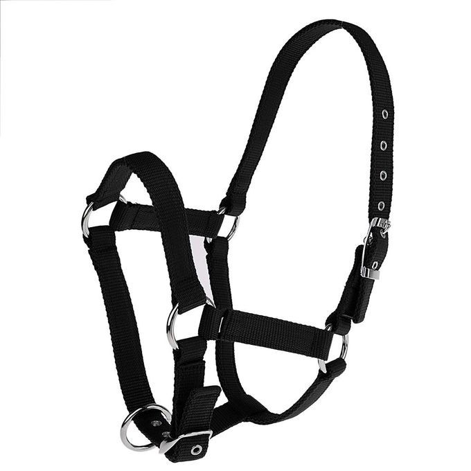 Adjustable Nylon Equestrian Western Horse Holter Thick Riding Black M