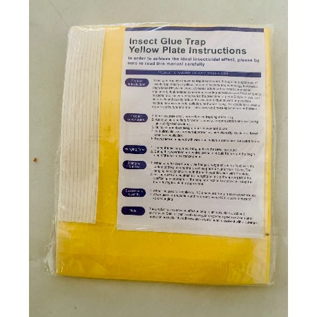 Insect Glue Trap - 10 Piece in Pack - Yellow