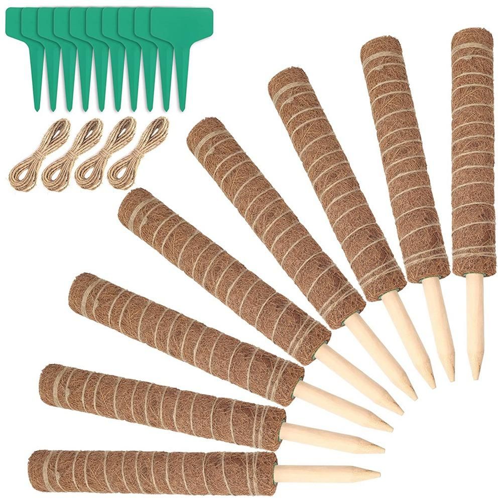 Moss Rod Spiral Totem Plant Support for Climbing Plants