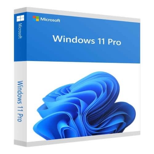 Windows 11 Professional Lifetime Activation License -1 User