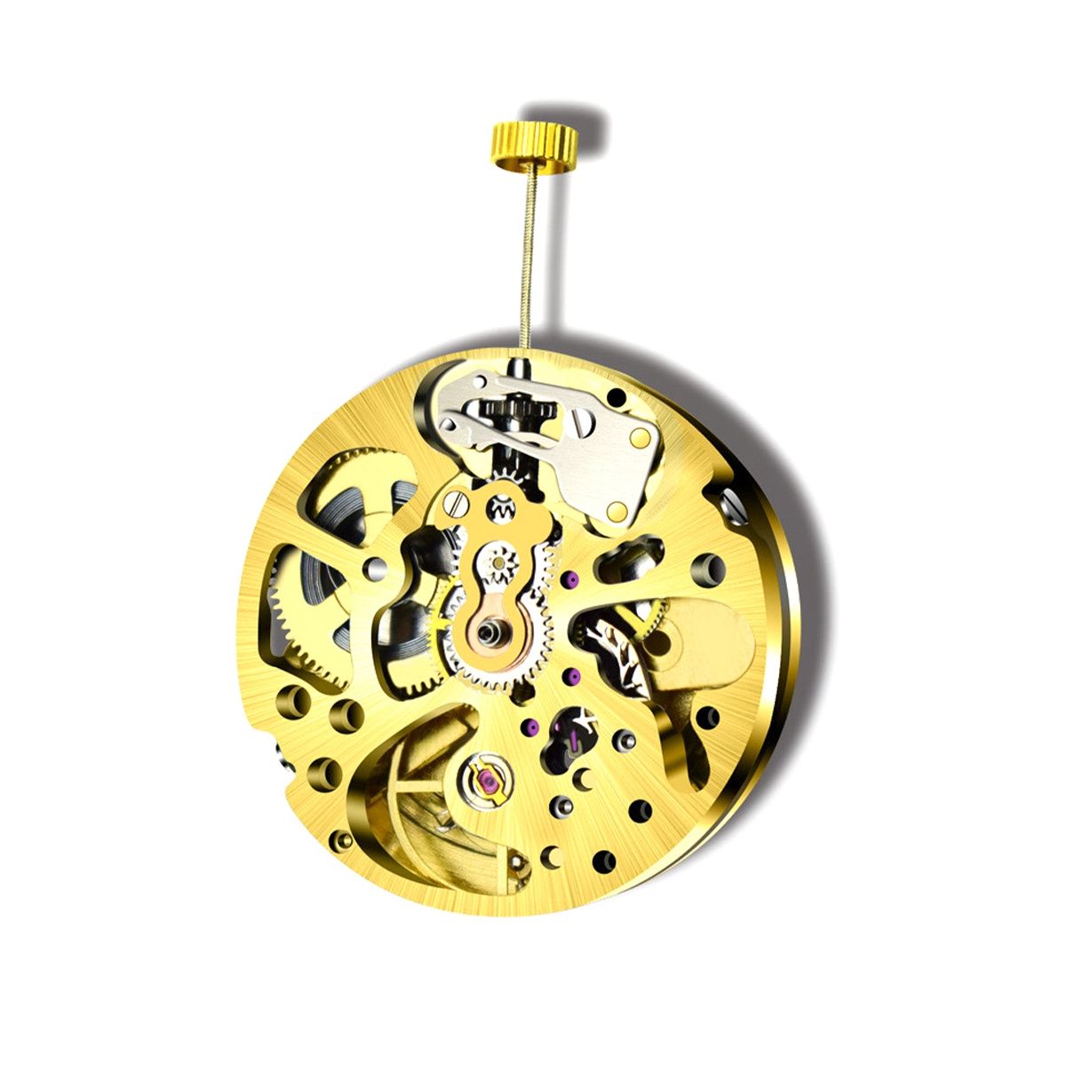 Gold Color Skeleton 2003 Movement Fully Automatic Watch