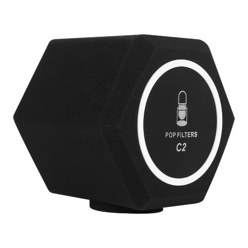 C2 Professional Studio Mic Screen Noise Canceling Acoustic Filter